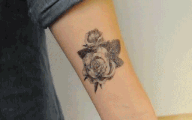 Ubrousky na odstranění tetovaky